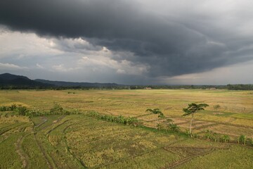 Cumulonimbus clouds are towering vertical clouds that are very tall, dense, and involved in...