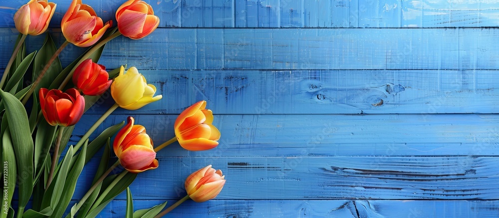 Poster Tulips in orange and yellow on a blue wooden surface make a beautiful background leaving room for text or other elements in the image. with copy space image. Place for adding text or design