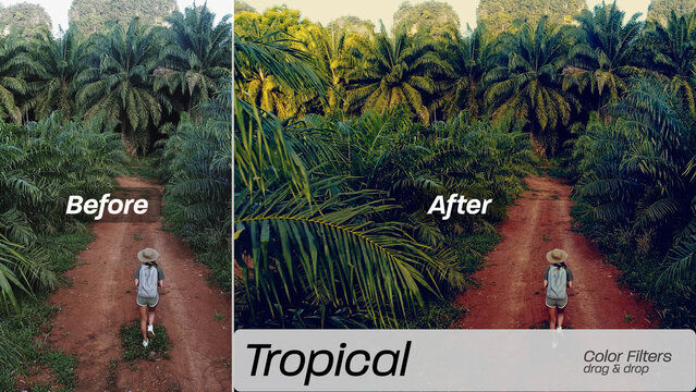 Tropical Color Filters 