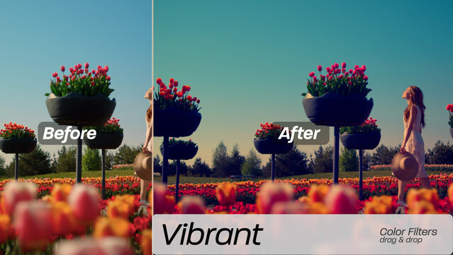 Vibrant Color Filters 