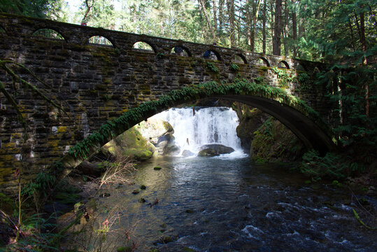 old mossy bridge over the river