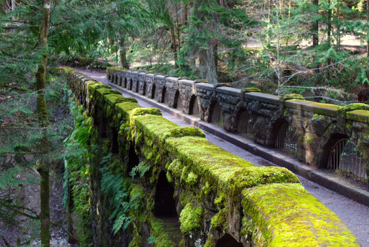 Mossy brdige green summer