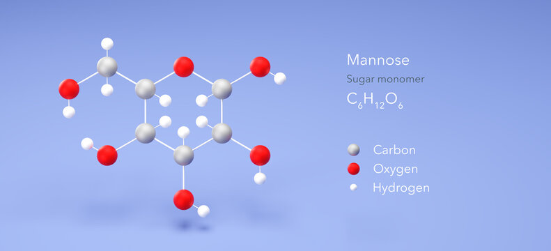 mannose molecule, molecular structure, sugar monomer, 3d model, Structural Chemical Formula and Atoms with Color Coding