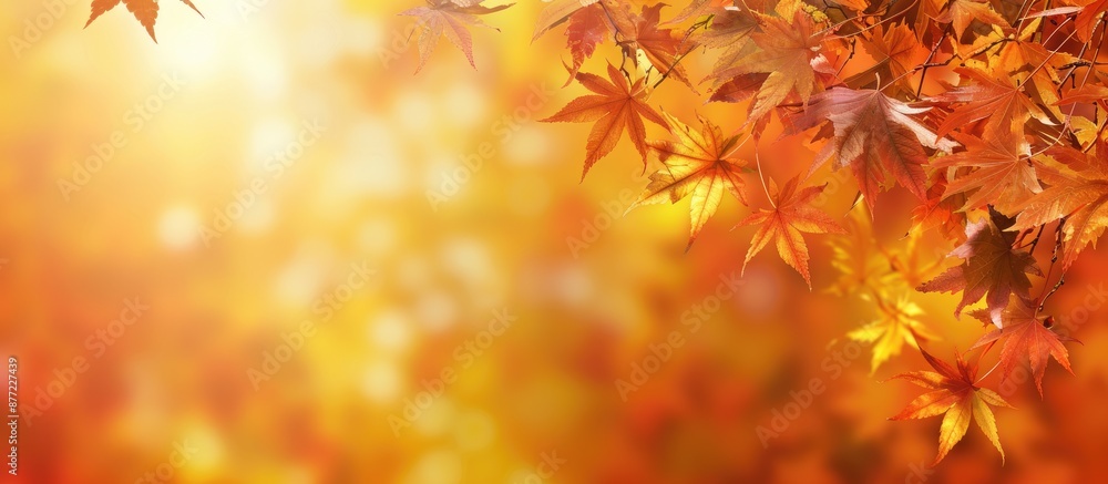 Poster maple tree leaves in vivid autumn hues with a blurred fall background offering copy space for text i