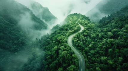 Aerial View of Scenic Mountain Road Surrounded by Lush Forest Canopy, Generative Ai