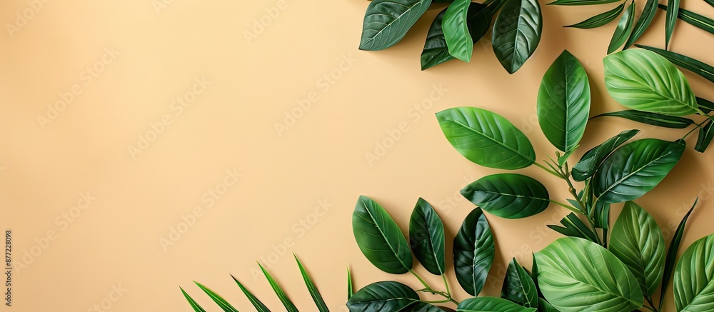 Poster top view of green artificial plants on a beige backdrop with copy space image available