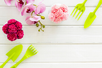 Gardening tools for transplanting plants in pots, top view