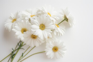 Obraz premium Delicate White Daisies on a White Background