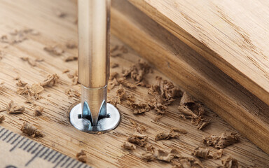 screwdriver screw in a wood oaks plank