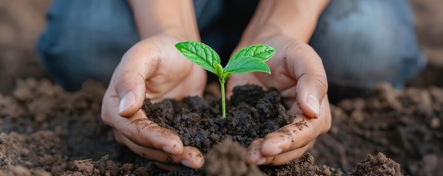 Non-profit organization hosting a sustainability awareness event, sustainability management, community outreach, environmental advocacy