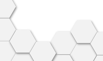 Luxury white and grey hexagonal abstract background with shadow. Geometric 3d texture illustration. Abstract hexagonal concept technology, banner and wallpaper background.