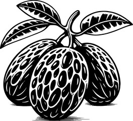 Huito Jagua Fruit icon 8