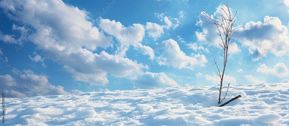 Poster scenic view of snow against a backdrop of a blue sky with clouds and a stick in the foreground in th