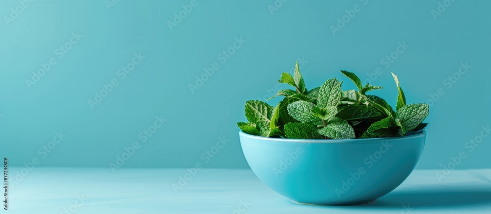 Poster blue backdrop hosts a bowl of fresh mint leaves with ample copy space image