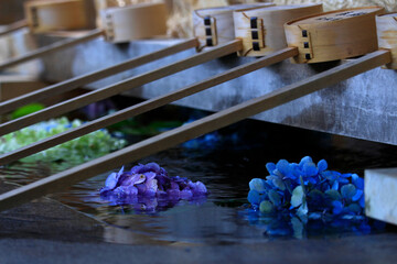 紫陽花（あじさい）手水