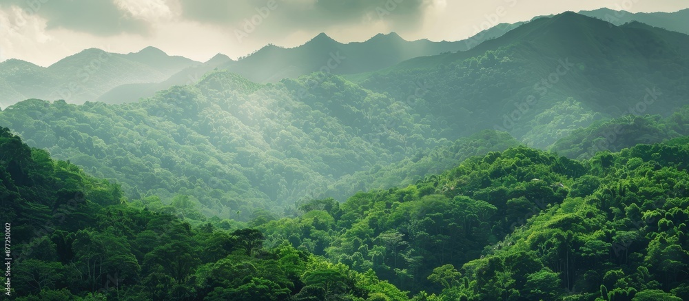Poster scenic mountain range with lush forests perfect for a copy space image