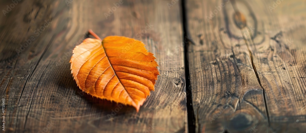 Aufkleber dry leaf on the table showcasing copy space image