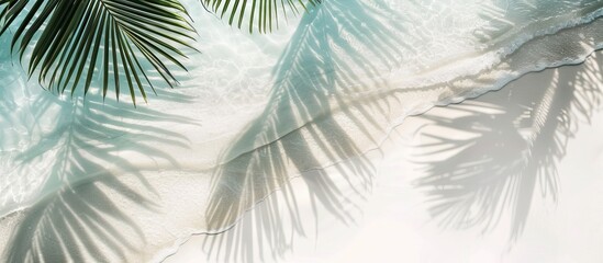 Summer holiday backdrop featuring a tropical beach with white sand palm leaf shadows ideal for travel and beach vacation themes with a copy space image for text
