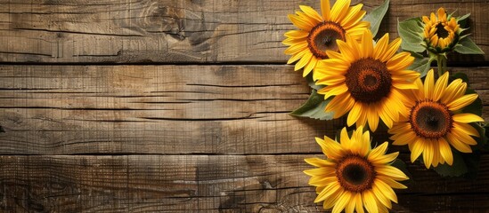 Sunflowers displayed against a rustic wooden backdrop providing a charming copy space image