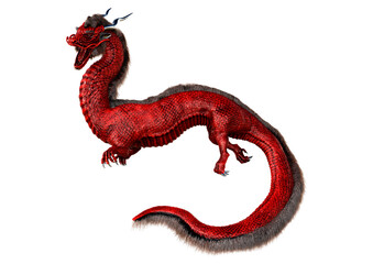 Obraz premium 3D Rendering Eastern Dragon on White