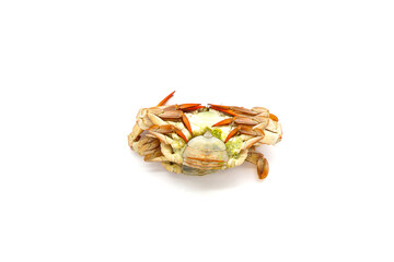 Steamed Blue Crabs on the white background