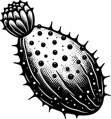 Cactus Pear Fruit icon 6