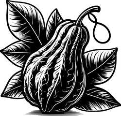Chayote Fruit icon 8