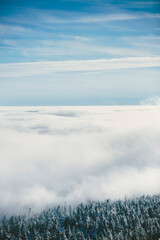 Snowy trees in the mountains above the clouds during cold winter.