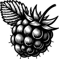 Cloudberry Fruit icon 15