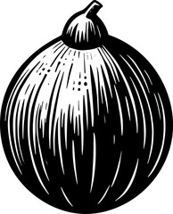 Coconut Fruit icon 11