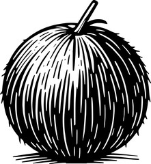 Coconut Fruit icon 10