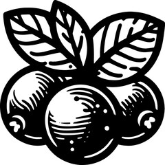 Cranberry Fruit icon 15