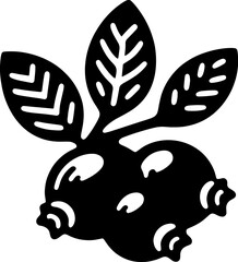 Crowberry Fruit icon 2