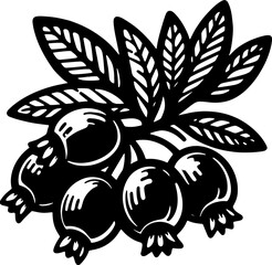 Crowberry Fruit icon