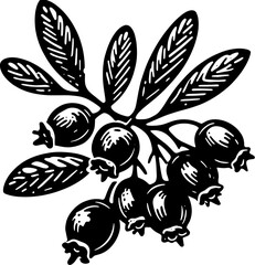 Obraz premium Crowberry Fruit icon 12