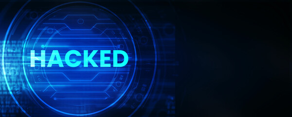 

2d illustration Cyber crime and internet privacy hacking. Network security, Cyber attack, Computer Virus, Ransomware, and Malware Concept