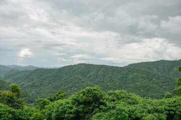 green forest in the mountains