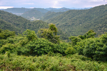 Fototapeta premium landscape of the mountains