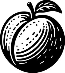 Apricot Fruit icon 4