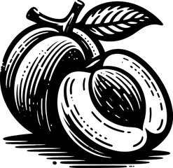 Apricot Fruit icon 2