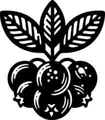 Aronia Berry Fruit icon 2