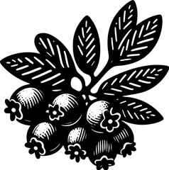 Aronia Berry Fruit icon 4