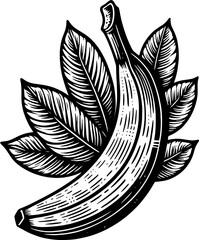 Banana Fruit icon 14