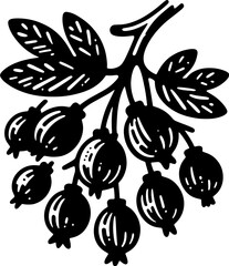 Barberry Fruit icon 4