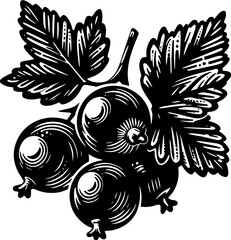 Black Currant Fruit icon 11
