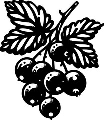 Black Currant Fruit icon 10