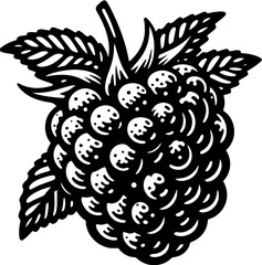 Black Raspberry Fruit icon 9