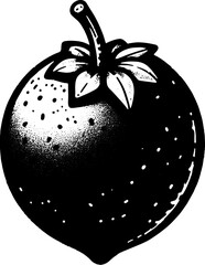 Black Sapote Fruit icon 11