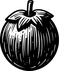 Black Sapote Fruit icon 13