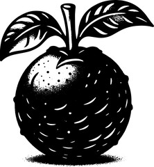 Black Sapote Fruit icon 14